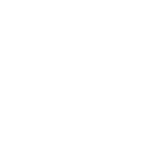 《瑞星 Rising Star》韻律體操發展計劃